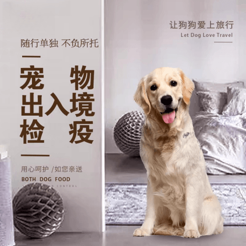 哈尔滨市宠物托运到哥伦比亚猫狗宠物入境规定和