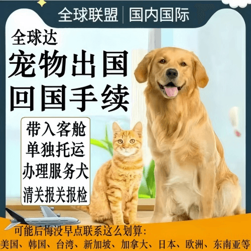 哈尔滨市宠物托运到柬埔寨宠物入境规定和要求